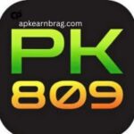 PK809-Game
