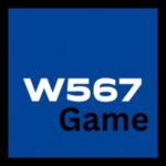 W567 Game